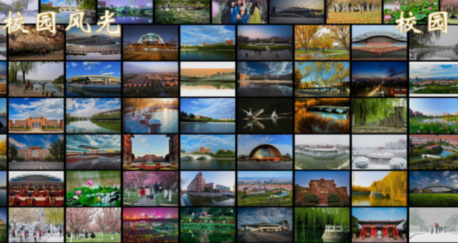 互动魔墙：未来教育与娱乐的新篇章